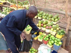 Fruit Seller on Tirinyi Rd. Eastern Uganda.
