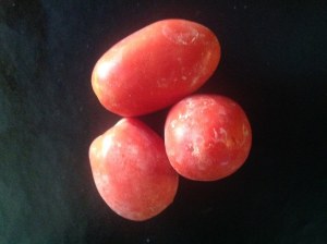 tomatoes